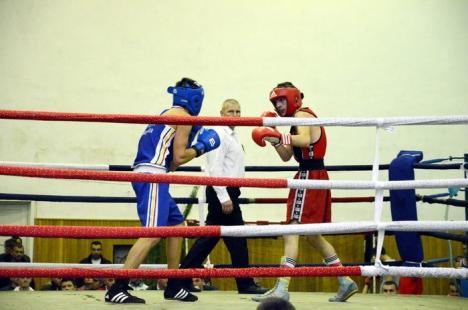 Clubul Crişul a obţinut organizarea Campionatului Naţional de box pentru tineret 